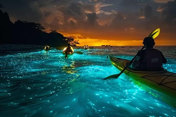 Bioluminescent Bay Dinagat