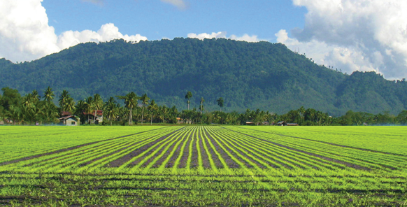 Diwata Mountain Range