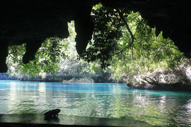 Sohoton Bucas Grande